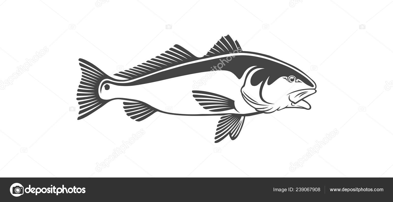 Download 108 Red Drum Fish Vector Images Free Royalty Free Red Drum Fish Vectors Depositphotos