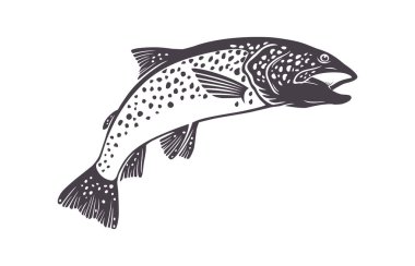 Alabalık Balık görüntü vektör çizim