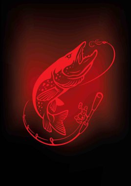 Pike görüntü vektör çizim balık