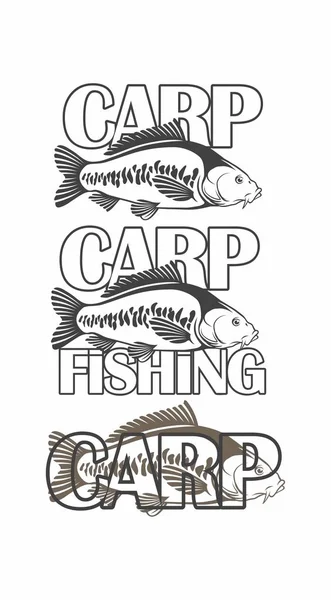 Kapr Fish Obrázek Vektorové Ilustrace — Stockový vektor