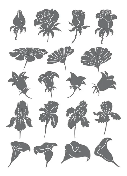 Set Drawings Flowers Vector Illustration Royalty Free Stock Vectors