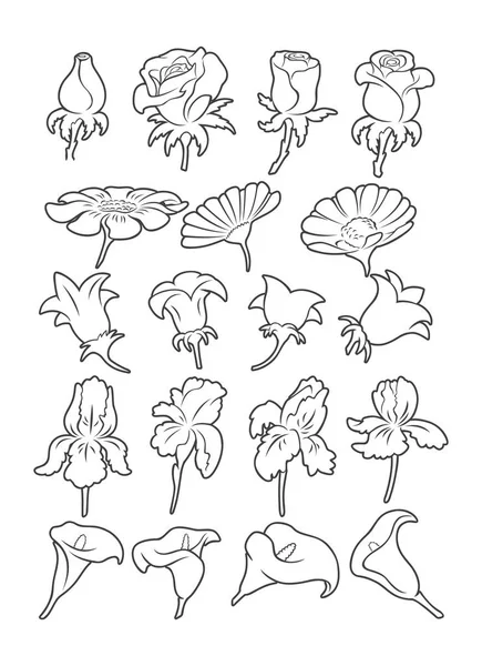 Set Drawings Flowers Vector Illustration Royalty Free Stock Vectors