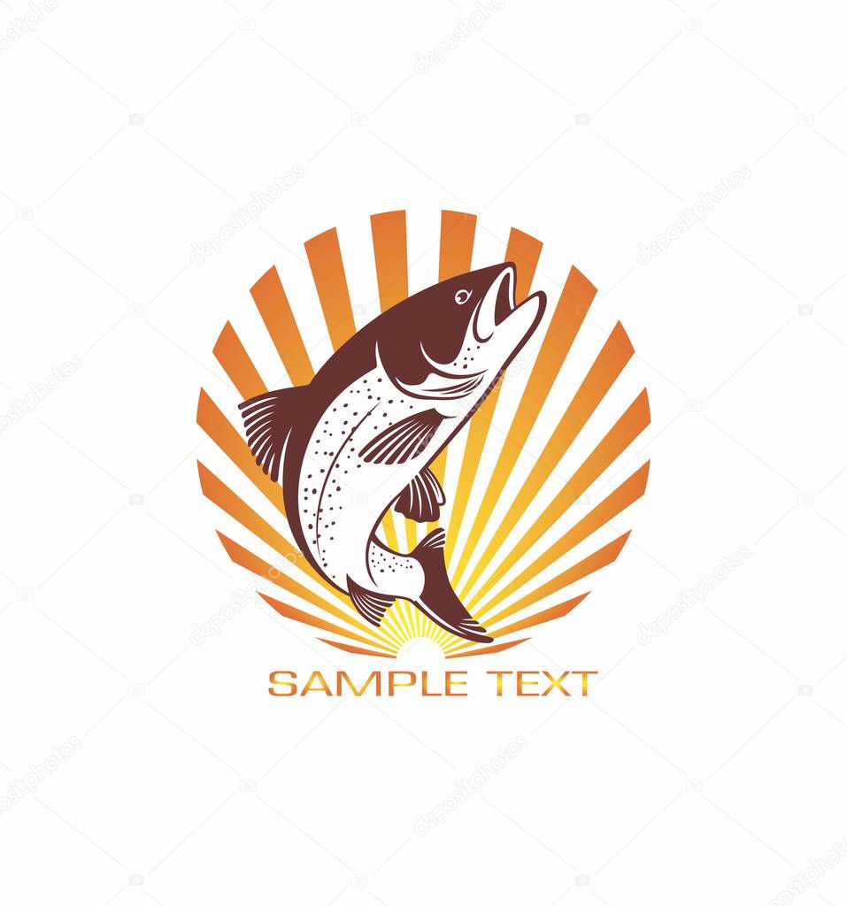 trout fish icons vector illustration