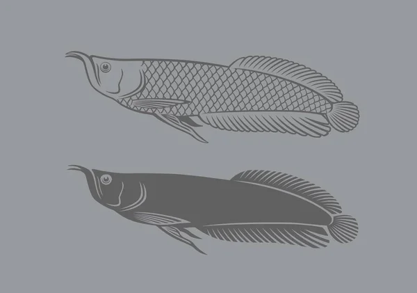 Aarowana-Fisch — Stockvektor