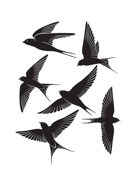 Vogelschwalbe — Stockvektor