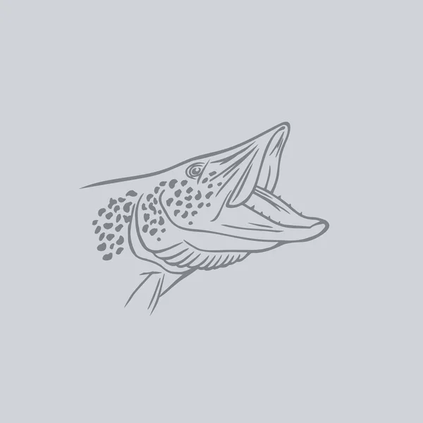 Зображення щуки риби — стоковий вектор