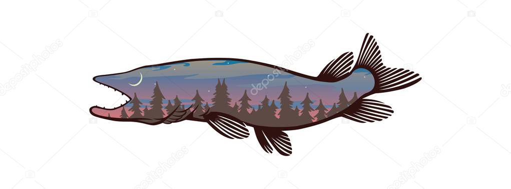 pike fish image