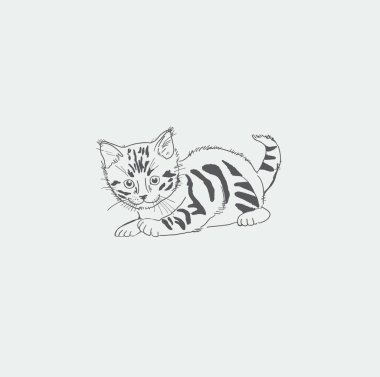 Resim bir kedi resmi gösteriyor.