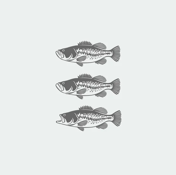 Image Bass Fishing Logo — Stock Vector