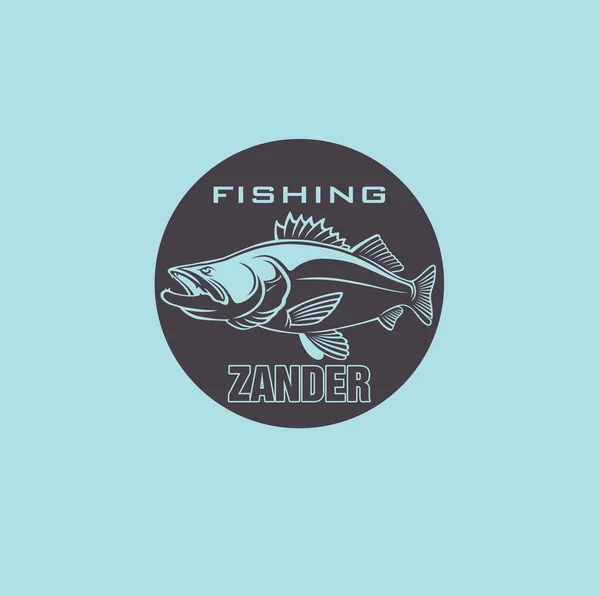 Imagem Zander Pesca Vetor Ilustração —  Vetores de Stock