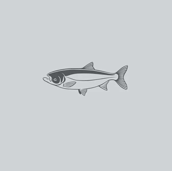 Silver Carp Fish Vector Illustration — Stock Vector