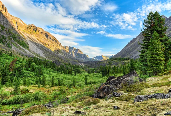 山の谷の夏の朝 東シベリア サヤン山脈 ロシア — ストック写真