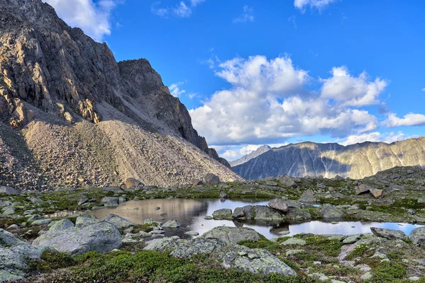 Webbplats Berget Tundra Täckt Med Rhododendron Gyllene Nära Lake Hängande — Stockfoto