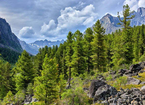 Taiga Siberiana Montaña Día Nublado Verano Parque Nacional Tunkinsky Rusia — Foto de Stock