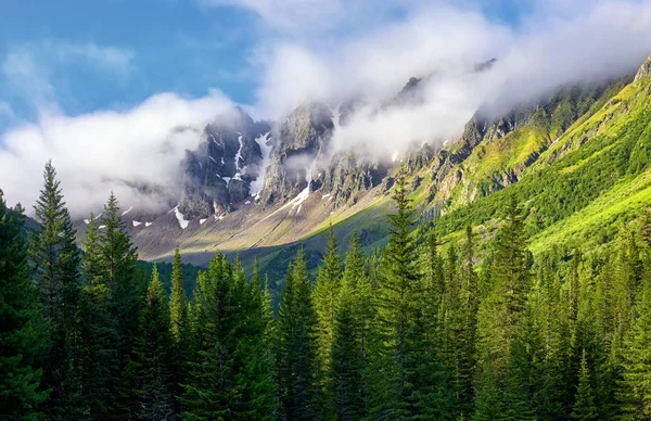 Mountain peaks are shrouded in thick fog. Summer morning in Siberian mountains — Stock Photo, Image