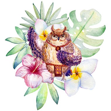 Hawaii dansı.
