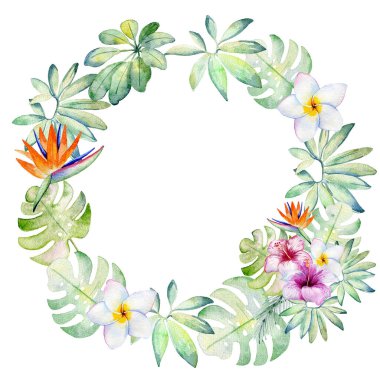 Suluboya tropikal çelenk