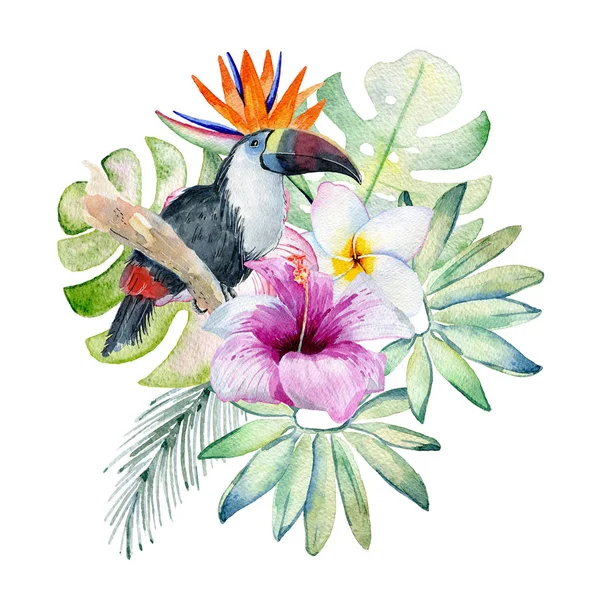 Tropical watercolor illustration — Stock Photo, Image