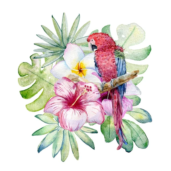 Tropical watercolor illustration — Stock Photo, Image