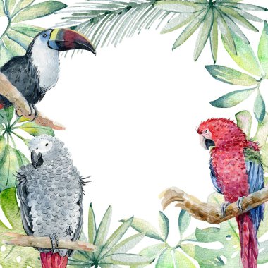 Tropik suluboya çerçeve