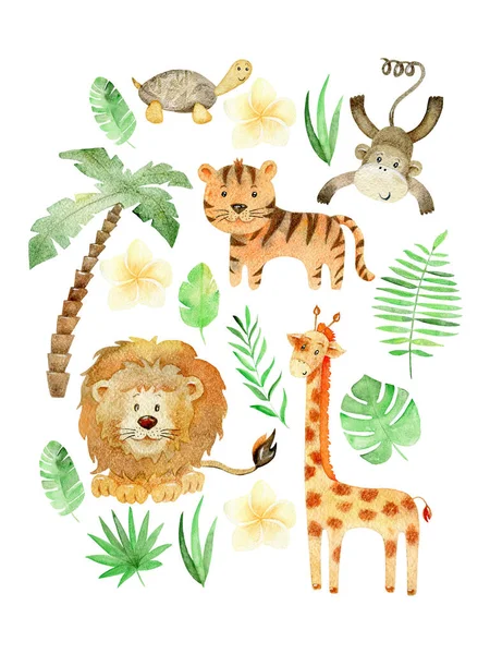 Watercolor safari arrangements. — Stock Photo, Image