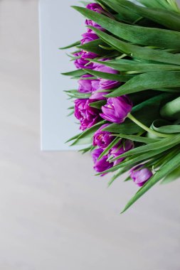 Lale beyaz duvar arka plan üzerinde bir buket