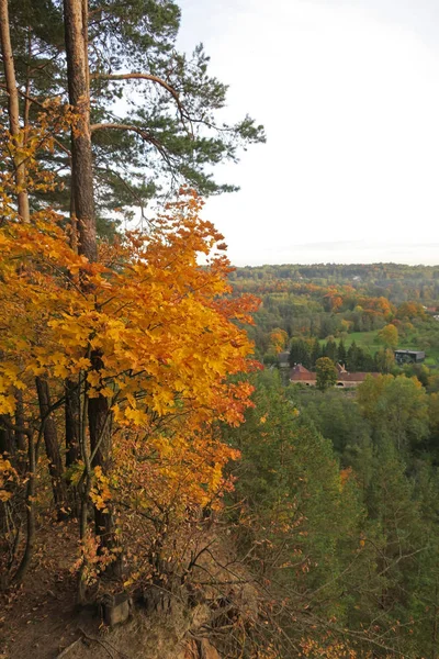 Parque ir Vilnius — Fotografia de Stock