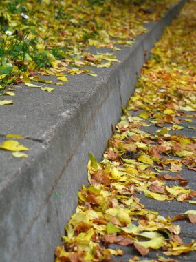 Druskininkai Sonbahar