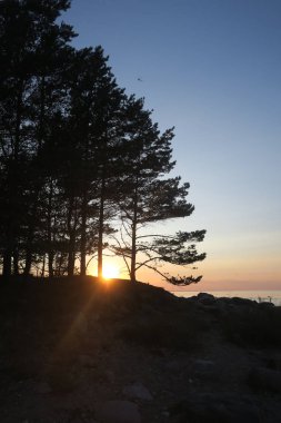 Letonya deniz tarafında akşam