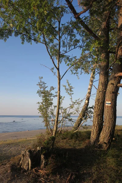 Evening in Latvia sea side — Stock Photo, Image