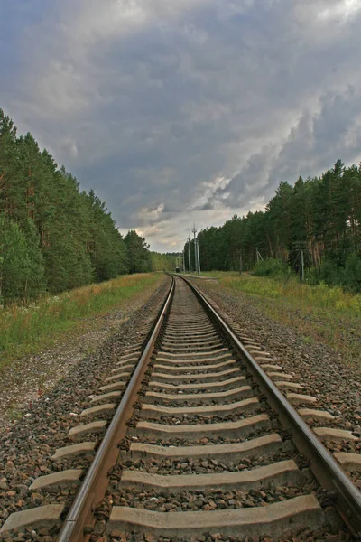 Ferrocarril en el bosque cerca de la ciudad de Vilna, Lituania — Foto de Stock