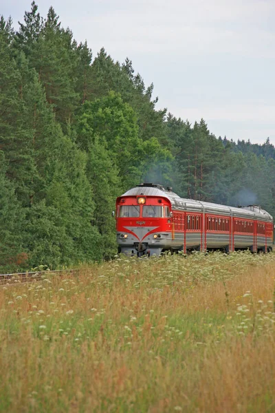 Pociąg w lesie w pobliżu miasta Wilno, Litwa — Zdjęcie stockowe
