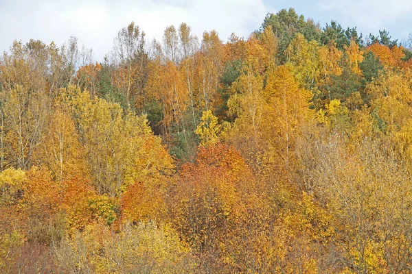Outono em Vilnius — Fotografia de Stock