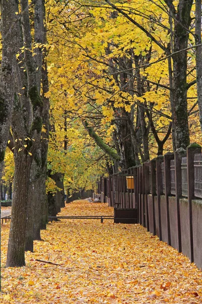 Осінь у парку Вільнюса — стокове фото