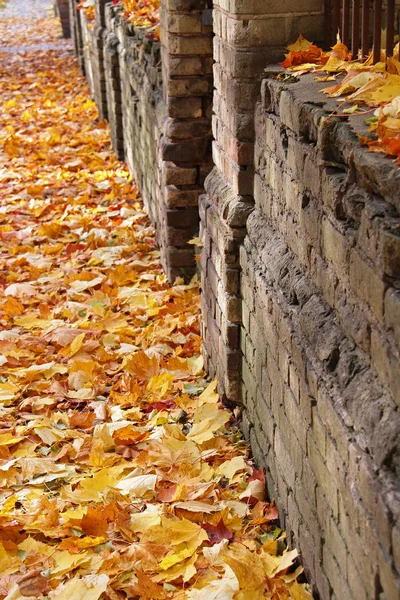 ビリニュスの公園の秋 ストック画像