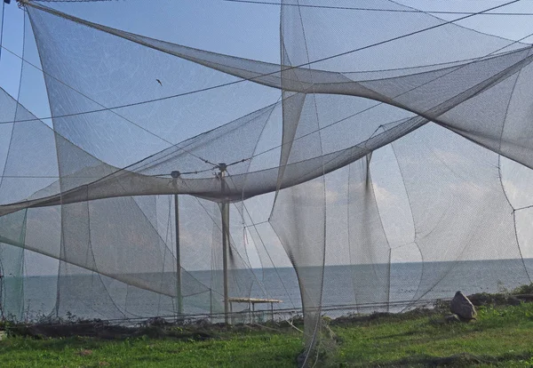 Nets in the birds ringing station in Vente cape, Lithuania