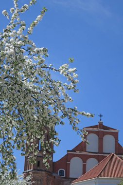 Vilnius Bernardine kilise, bahar