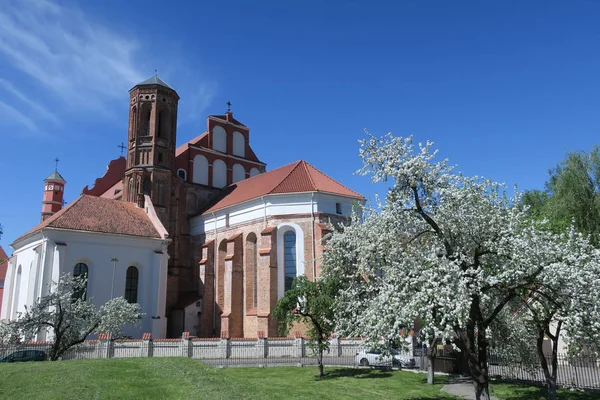 Бернардинская церковь в Вильнюсе, весна — стоковое фото