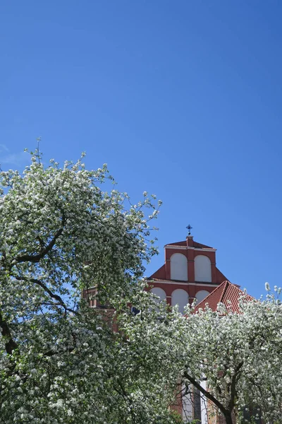 Kościół berryński w Wilnie, wiosna — Zdjęcie stockowe