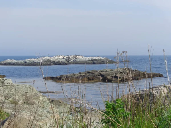 海岸で 穏やかに水から突き出た大きな岩をオフに 春の午後 — ストック写真