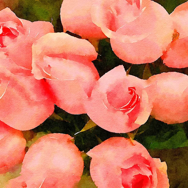 Egy Szép Csokor Rózsaszín Rózsa — Stock Fotó