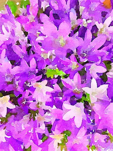 Une Belle Aquarelle Originale Bouquet Campanula — Photo