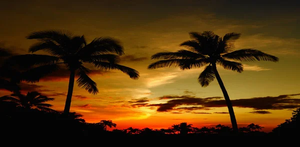 Belle Image Coucher Soleil Hawaïen Typique — Photo