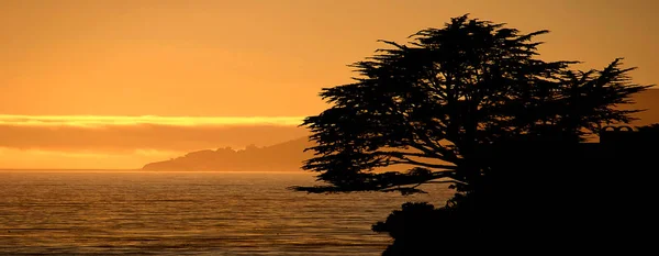 Image Magnifique Côte Californienne Pismo Beach Californie — Photo