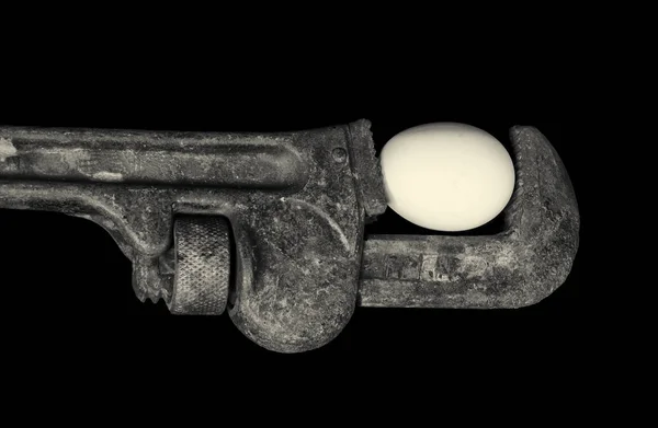 歳パイプ Wrethch と卵の非常に良い芸術的なイメージ — ストック写真