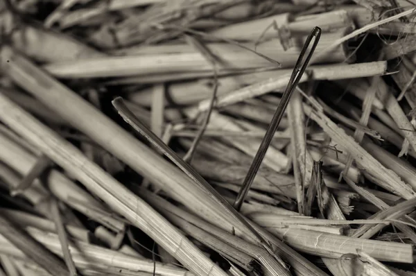 Beautiful Macro of needle in a haystack