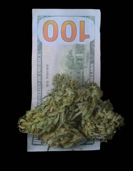 Very Nice Clump Top Grade Medical Marijuana Sitting 100 Dollar — Stock Photo, Image