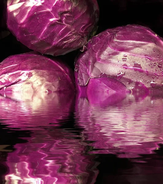 Rotkohl in Wasser — Stockfoto