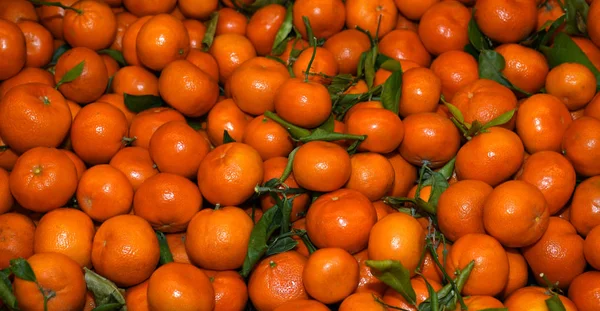 Beautiful Fresh mandarin Fruit — Stock Photo, Image