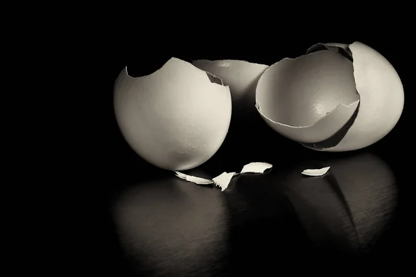 4つの美しい卵の殻 — ストック写真